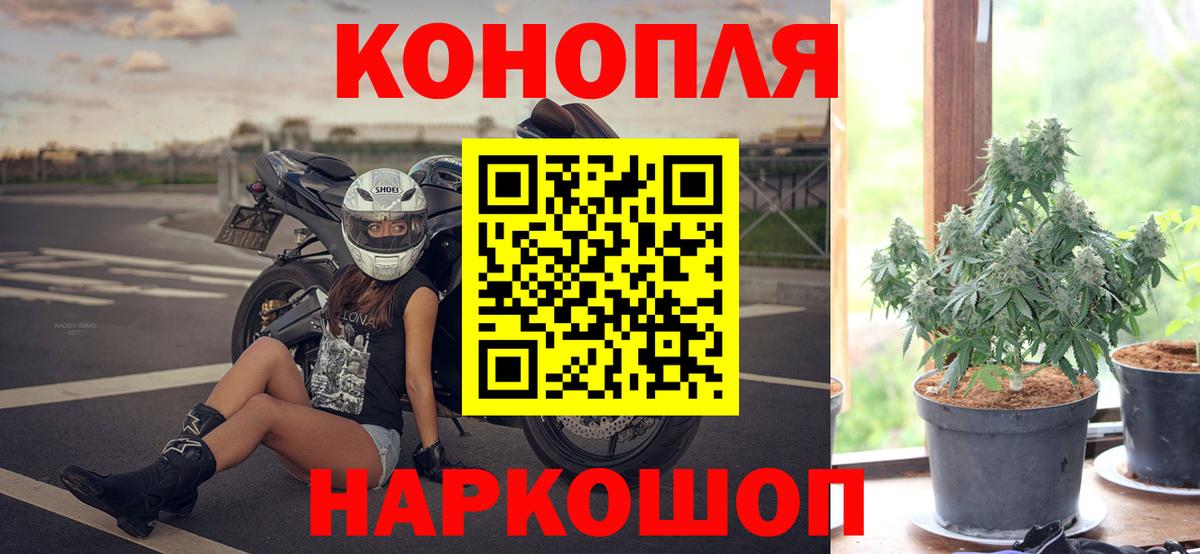 Шишки марихуана семена  Шишки марихуана White Widow  Вход с VPN  Ангарск  Шишки марихуана марихуана 